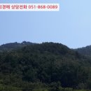 신선동-4 이미지