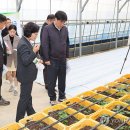 은선농장 이미지