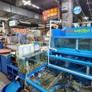 주문진활어회센타 이미지