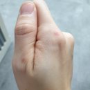 둥기농장 | 크로스핏 오픈 참가중(부상으로 인하여 실력발휘 못함이라 박박 우김)