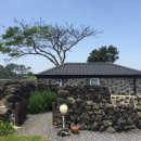 제주코기네 이미지