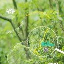 김녕초등학교 | 제주도 축제 2024 세계유산축전 제주 화산섬과 용암동굴 발견의 기쁨 개막 기념식 현장 후기