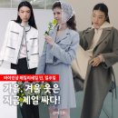 에스알디자인컴퍼니(주) | 바이린샵 린컴퍼니 2025 패밀리세일 총정리 추천인 코드, 기간 포함