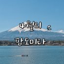 일본 북해도 여행 4월 비수기 팜도미타코스 리뷰
