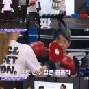 도봉복싱클럽 이미지