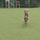 실왕길 네이버블로그