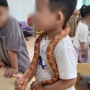 삽량초등학교 병설유치원 네이버블로그