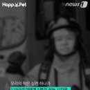 카드119