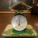 사랑펜션 이미지