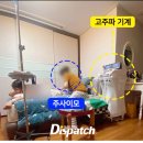 햇님유통 이미지