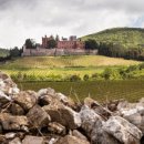 인문학과 와인세계 이미지