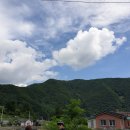 청량산 참 민박 | 청량산 등산코스 추천!🌱 (청량폭포-장인봉-하늘다리-청량사까지)