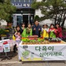 새빛네일 네이버블로그