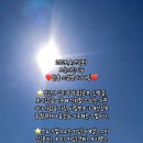금전엔지니어링 네이버블로그
