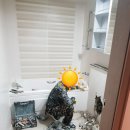 협성건축인테리어