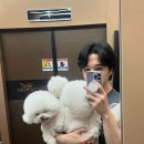 퍼피블러썸