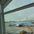 643 | [싱가폴여행] 대한항공 KE643 인천 - 싱가포르 창이공항 이용후기