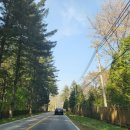 도자기카페D토 이미지