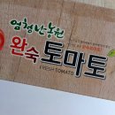 맛쟁이토마토 이미지