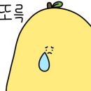 옵티마미소약국 이미지