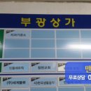 산호대로-8 이미지