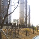 골든타워공인중개사사무소 이미지