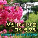 이현지와 동네책방 만남 프로젝트, 오전 10시 30분 그림책 모임 [8/22 (목) 오전 10시 30분, 열두달책방]