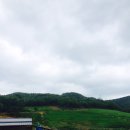 청송하늘농원