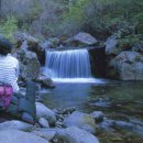 내면창촌우체국 이미지