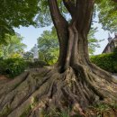 안성농장 이미지