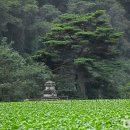 평창군 종합관광안내소 이미지