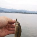 상중도뱃터 이미지