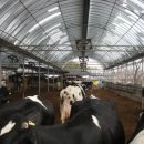 선우목장 이미지