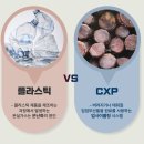 (주)에코도시락 | 직장인 도시락통으로 딱! &#39;성수동 도시락통&#39; 사용 후기