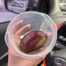 (D-48) 행복한 치팅데이