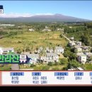 강정동-48 이미지