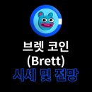 브렛 이미지