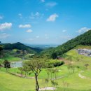 아리스타컨트리클럽 이미지