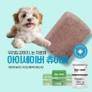 정다운약국 | 안산 본오동 정다운약국, 강아지 결막염, 유루증 치료제 아이세이버 동물약 판매약국!