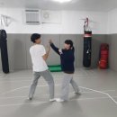 태껸청계관