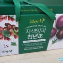 굿데이영농조합 이미지