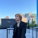 스테이나라 이미지