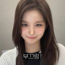 엔써 Daum카페