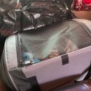 우등세탁 | 반려동물(노견) 우등버스 탑승 후기