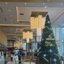 ㈜따신밥한그릇 | 다낭 미카즈키 호텔 5살 아이랑 조식, 무료 키즈카페, 잉어먹이주기, 수영장 부대시설 내돈내산 솔직후기