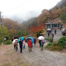 YJ펜션(고운산장) Daum카페