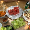 운문로 | [청도 계곡] 라운지아바 수영장, 계곡, 평상 대여 솔직 후기