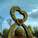 모텔정원 이미지