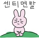 내를 건너서 숲으로 캠핑장 이미지