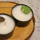 커피콩이야기